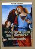 365 giorni con San Raffaele arcangelo